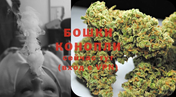 ALPHA PVP Новозыбков