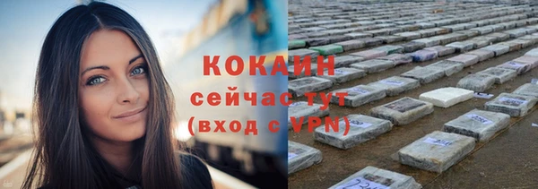 ALPHA PVP Новозыбков